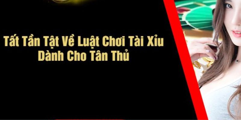 Tất Tần Tật Luật Chơi Tài Xỉu Mà Anh Em Không Thể Bỏ Lỡ 